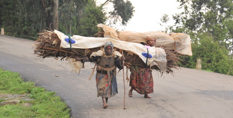 Women wood carriers on Entoto mountain 